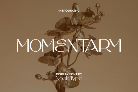Momentary: A Display Font That Brings Elegance to Your Brand